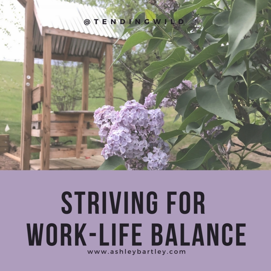 Striving for Work-life Balance