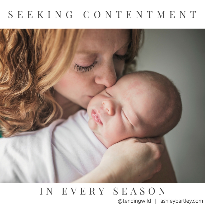 Seeking contentment